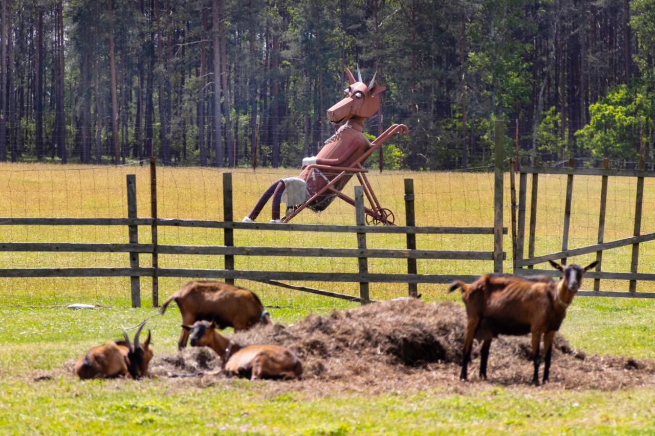 Penzion Kozi Farma Novy Dvur Česká Lípa Exterior foto